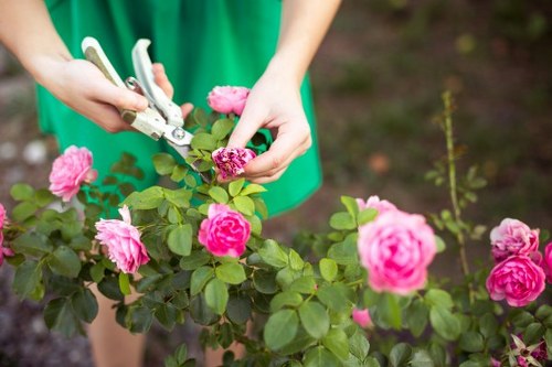 Inspector assessing a landscaped garden for complaint review